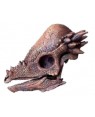 Crânio de Pachycephalosaurus BRF02 Bios Réplicas