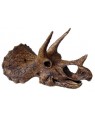 Crânio de Triceratops BRF05 Bios Réplicas