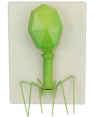 Modelo de Bacteriófago  SD-5078