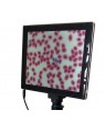Tablet Vídeo-Monitor para Microscópios Coleman NLCD PAD