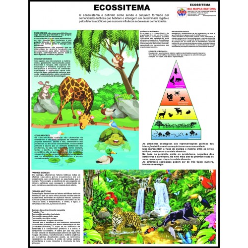 Poster Ecossistema 085