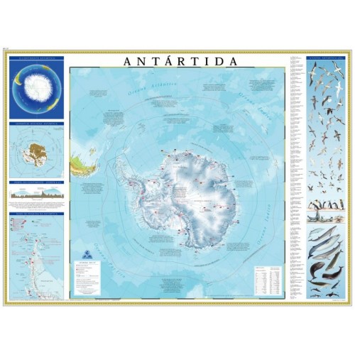 Poster Antártida 227