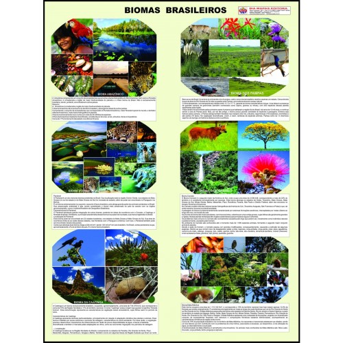  Poster Brasil Biomas Brasileiro 320