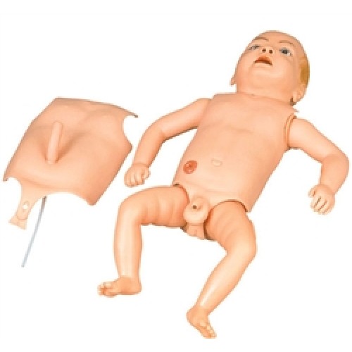 Manequim Bebê bissexual órgãos internos COL 1424 Coleman