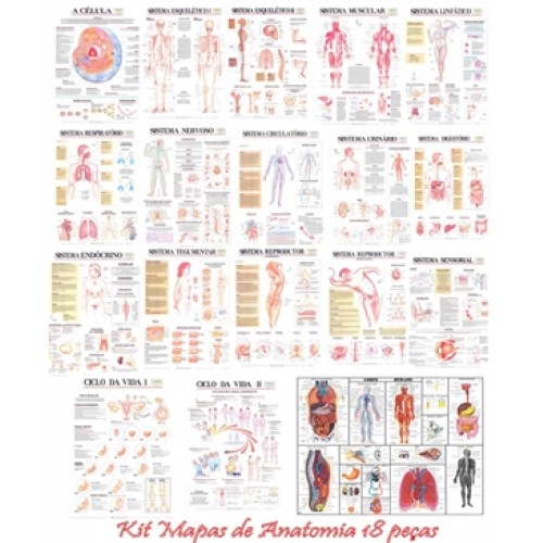 Kit Murais de Anatomia com 18 Peças - Moldura de Madeira KMA-18M