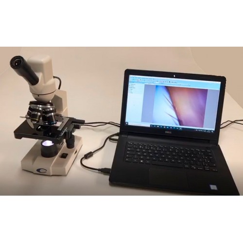 Microscópio Monocular Digital DN-10A Coleman