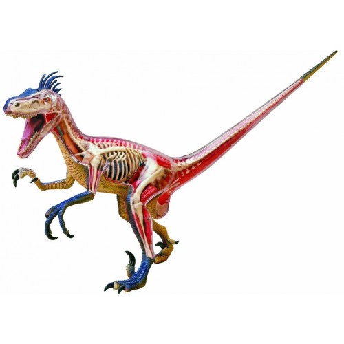Velociraptor Deluxe com 29 peças QC-26654