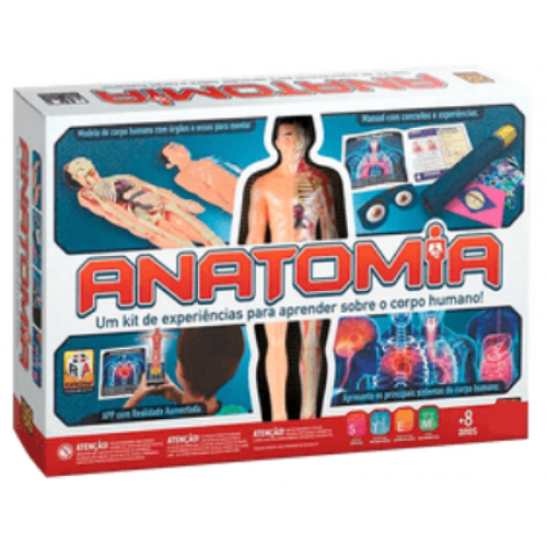 Kit Anatomia do Corpo Humano