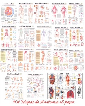 Kit Mapas de Anatomia com Moldura de Madeira 18 peças KMA-18M