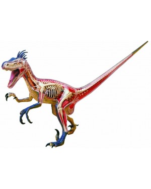 Velociraptor Deluxe com 29 peças QC-26654