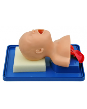 Simulador de Intubação Bebê  SD-4006