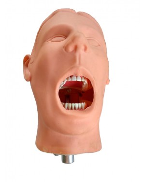 Simulador de Paciente Odontológico Completo SIP-01 