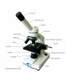 Microscópio Monocular 640x 116/AL LED Coleman foto 4