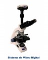Microscopio Biológico Triocular com vídeo
