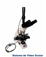 Microscopio Biológico Triocular com vídeo