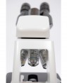Microscópio Infinito com monitor N 126 Coleman