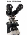 Microscópio Binocular Infinito Plano LED